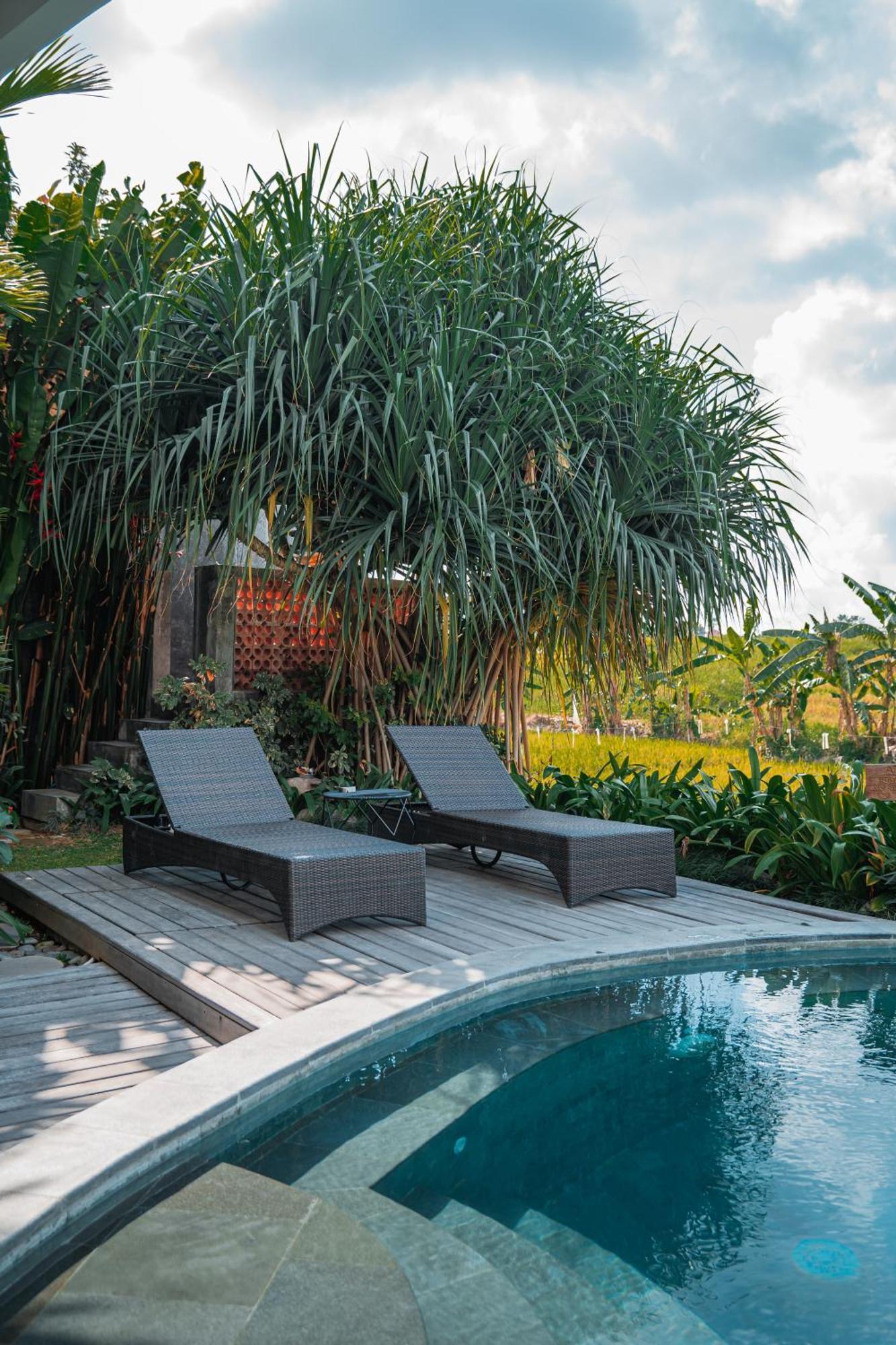 Mahalona Bali Stay Canggu Eksteriør billede